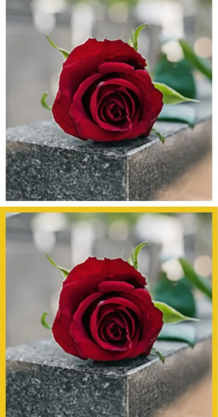 Memorial rose on granite, Massachusetts wrongful death claims